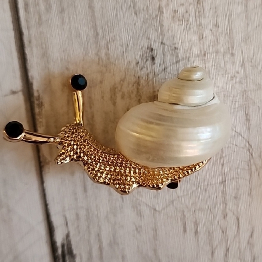 Snail Brooch Authentic  Shell on Brooch